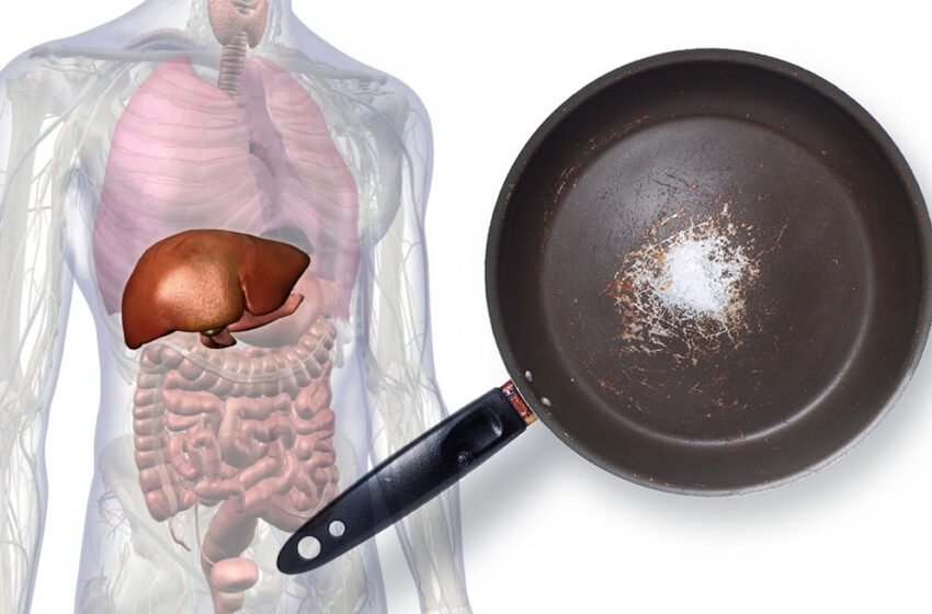  ¿Usas ollas antiadherentes rayadas? Podrían estar afectando tu salud sin que lo sepas