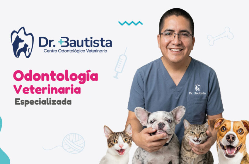  Odontología Veterinaria Dr Bautista