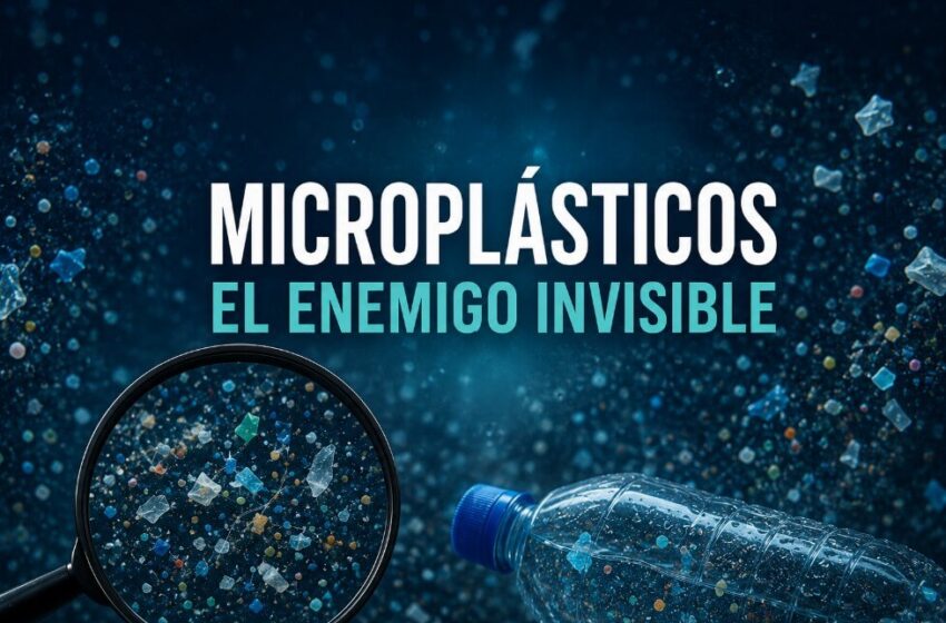  Microplásticos: el enemigo invisible que ya fue encontrado en la sangre humana y preocupa a los científicos