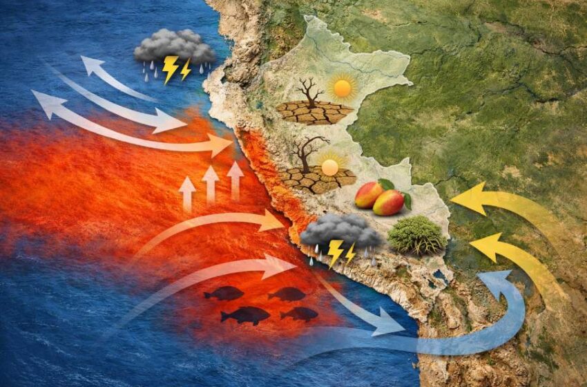  Fenómeno de El Niño en el Perú: ¿cómo puede afectar a la costa, sierra y selva?